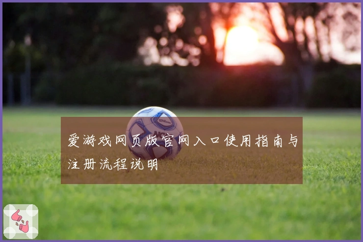 爱游戏网页版官网入口使用指南与注册流程说明